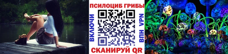 Псилоцибиновые грибы мицелий  Серафимович 