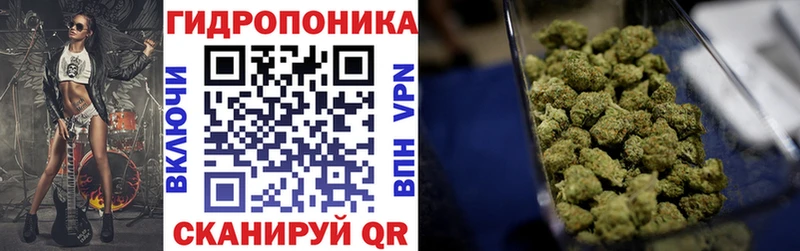 Каннабис гибрид  Серафимович 